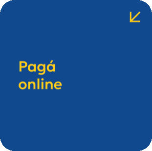 gif animado que muestra la frase Pagá online, alternándose con una foto de una persona usando una notebook junto al texto Pagos Online